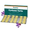 CYSTONE FORTE TABS - HIMALAYA
